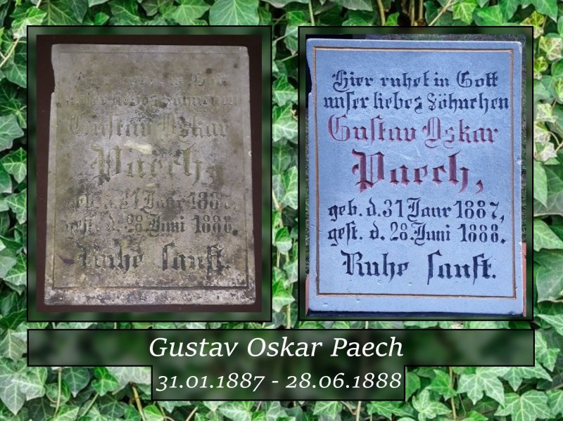 Niezwykła pasja Piotra Marczeni